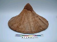 藏品(椰鬚笠)的圖片